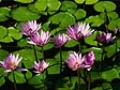 保尔森：中国需要广泛的经济改革